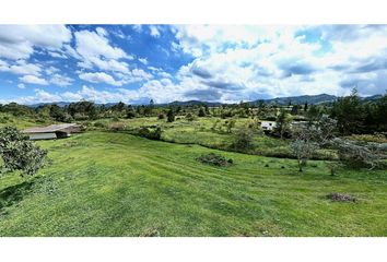 Lote de Terreno en  Rionegro Antioquía