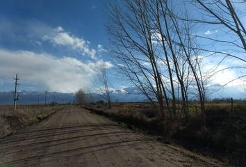 Terrenos en  Calle Lavalle, San Carlos, Mendoza, Arg