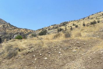 Parcela en  Colina, Chacabuco