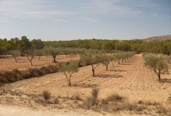Terreno en  Monóver/monóvar, Alicante Provincia