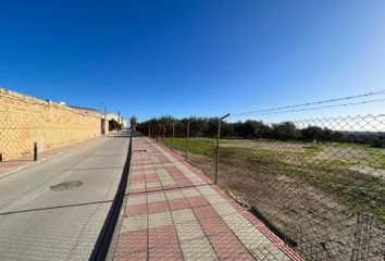 Terreno en  Pilas, Sevilla Provincia