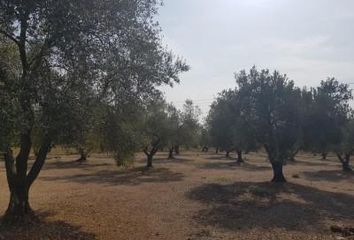 Terreno en  Santa Bárbara, Tarragona Provincia