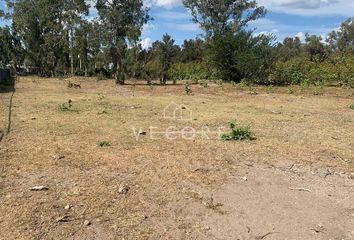 Lote de Terreno en  Carretera Tala-santa Cruz De Las Flores, Manuel M Diéguez, Tala, Jalisco, 45306, Mex