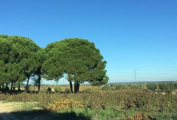 Terreno en  Hinojos, Huelva Provincia