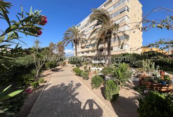 Apartamento en  Sant Vicent Del Raspeig, Alicante Provincia