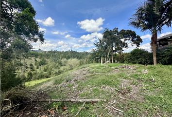 Lote de Terreno en  Rionegro Antioquía