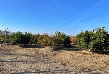 Terreno en  Barxeta, Valencia/valència Provincia