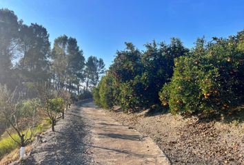 Terreno en  Barxeta, Valencia/valència Provincia