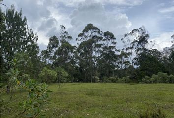 Lote de Terreno en  Rionegro Antioquía