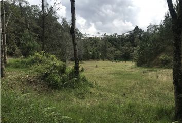 Lote de Terreno en  El Retiro, Antioquia