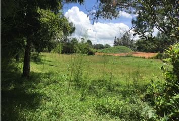 Lote de Terreno en  Rionegro Antioquía