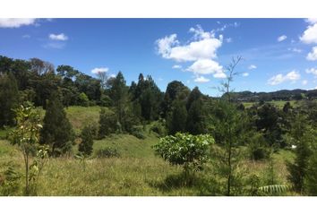 Lote de Terreno en  Envigado, Antioquia