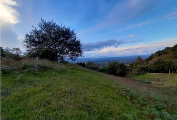 Lote de Terreno en  Rionegro Antioquía