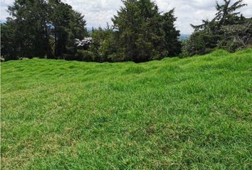 Lote de Terreno en  Rionegro Antioquía