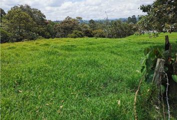 Lote de Terreno en  Rionegro Antioquía