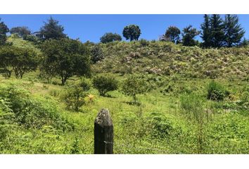 Lote de Terreno en  Rionegro Antioquía