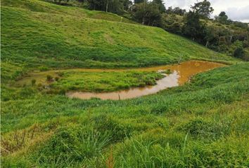 Lote de Terreno en  El Carmen De Viboral, Antioquia