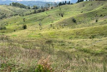 Lote de Terreno en  Guarne, Antioquia