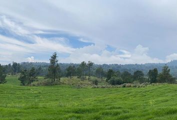 Lote de Terreno en  Pueblo Fierro Del Toro, Huitzilac, Morelos