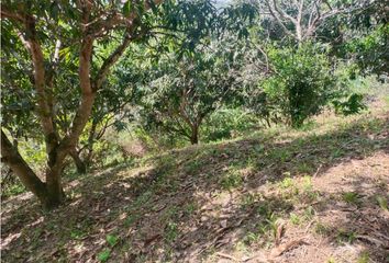 Lote de Terreno en  Anatolí, La Mesa