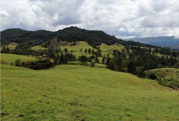 Lote de Terreno en  Rionegro Antioquía