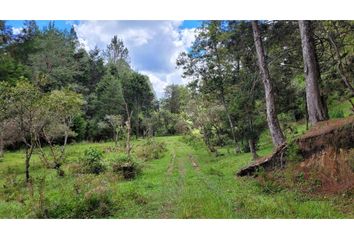 Lote de Terreno en  Guarne, Antioquia