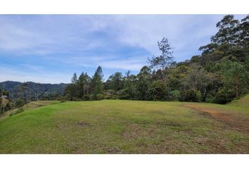 Lote de Terreno en  El Retiro, Antioquia