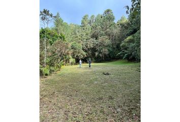 Lote de Terreno en  Caldas, Antioquía