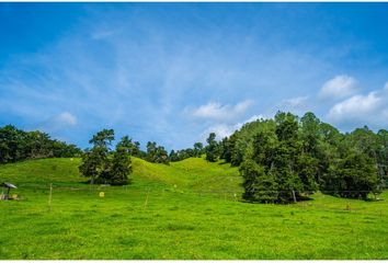 Lote de Terreno en  Rionegro Antioquía