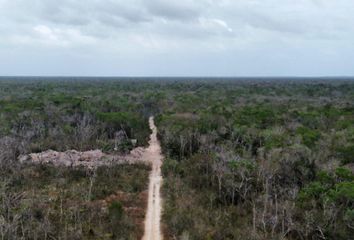 Lote de Terreno en  Tulum, Tulum