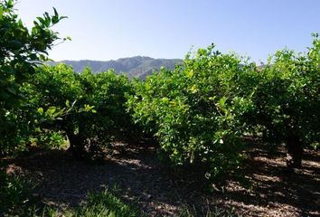 Terreno en  Algezares, Murcia Provincia