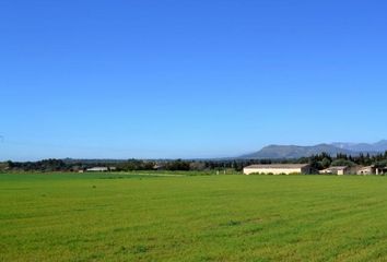 Terreno en  Muro, Balears (illes)