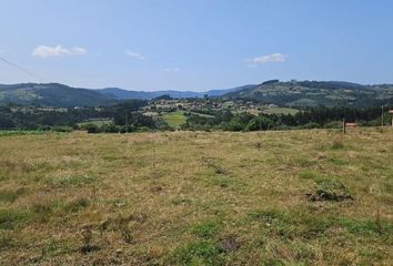 Terreno en  Carbayera (castiello-villaviciosa), Asturias