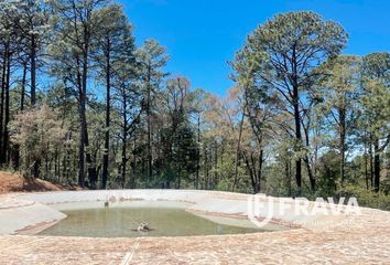 Lote de Terreno en  Tapalpa, Tapalpa, Tapalpa, Jalisco