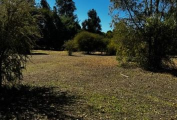 Parcela en  Bulnes, Ñuble (región)