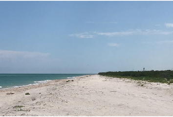 Lote de Terreno en  Celestún, Yucatán