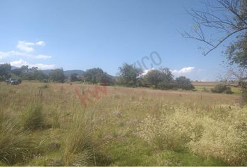 Lote de Terreno en  Vicente Guerrero, Toluca De Lerdo