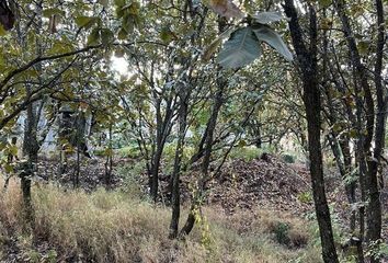 Lote de Terreno en  Bugambilias, Zapopan, Zapopan, Jalisco