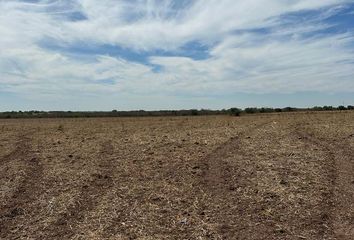 Lote de Terreno en  Pueblo Alcoyonqui, Culiacán