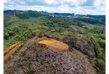 Lote de Terreno en  Guarne, Antioquia