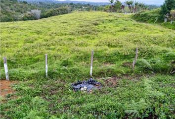 Lote de Terreno en  Magangué, Bolívar