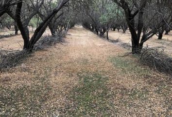 Parcela en  Curacaví, Melipilla