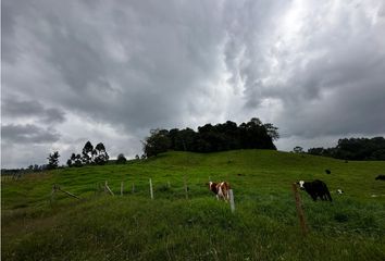 Lote de Terreno en  Ciudadela Puerto Espejo, Armenia