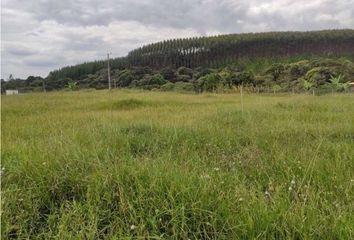 Lote de Terreno en  Pino Pardo, Popayán