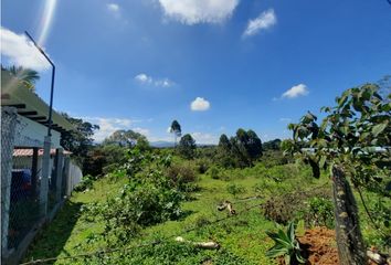 Lote de Terreno en  Pino Pardo, Popayán