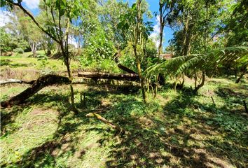 Lote de Terreno en  Oriente, Medellín