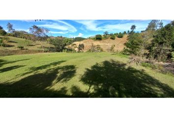 Lote de Terreno en  San Vicente, Antioquia