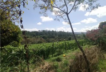 Lote de Terreno en  Totoro, Cauca