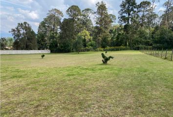 Lote de Terreno en  Avándaro, Valle De Bravo