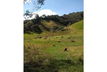 Villa-Quinta en  La Ceja, Antioquia